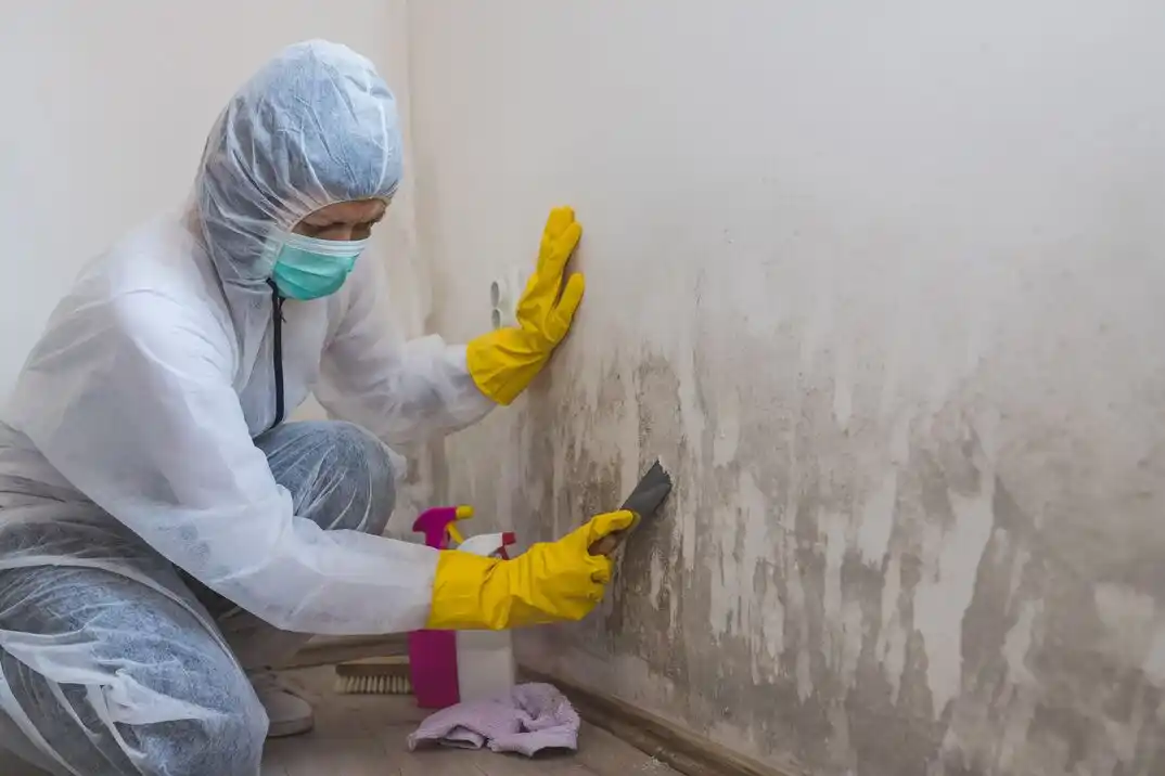 water damage restoration service Parkway East